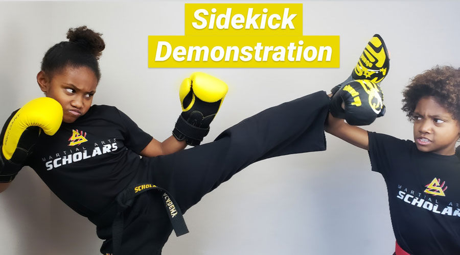 Sidekick Demonstration